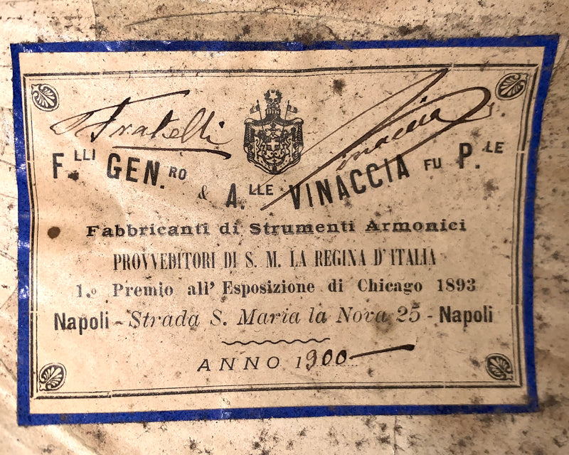 Mandoline de Concert Gennaro & Achille Vinaccia de 1900