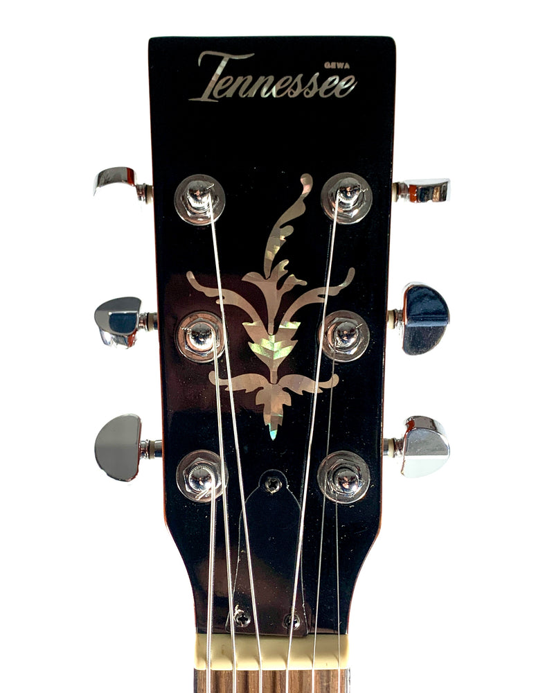 Banjo Guitare Tennessee 6 Cordes 2010's