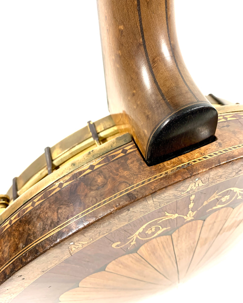 Banjo Tenor Guarnerius N°1 Gold 1910's / 1920's