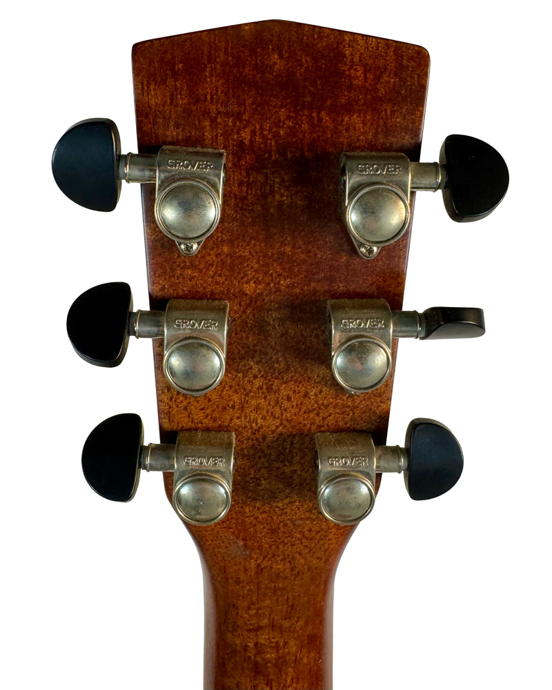 Cort Earth 200 Guitare Électro Acoustique Naturelle de 2003