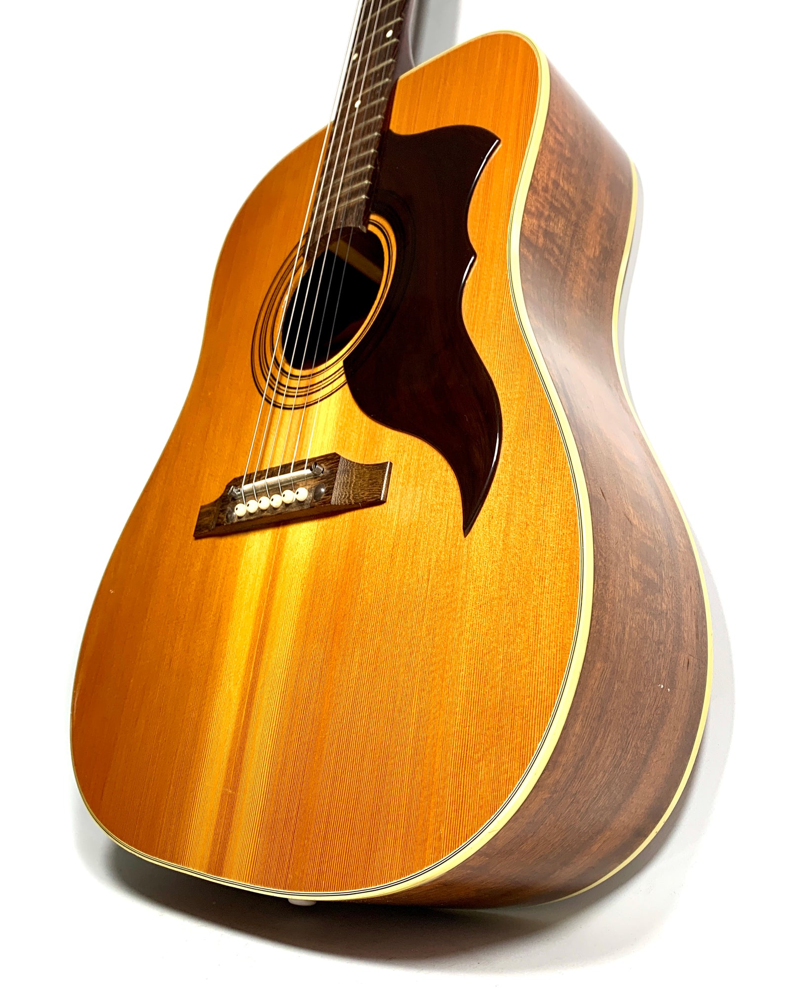 Eko Ranger VI Vintage 1970's – L'instrumenterie