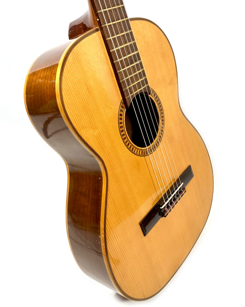Giannini AWN-21 de 1978