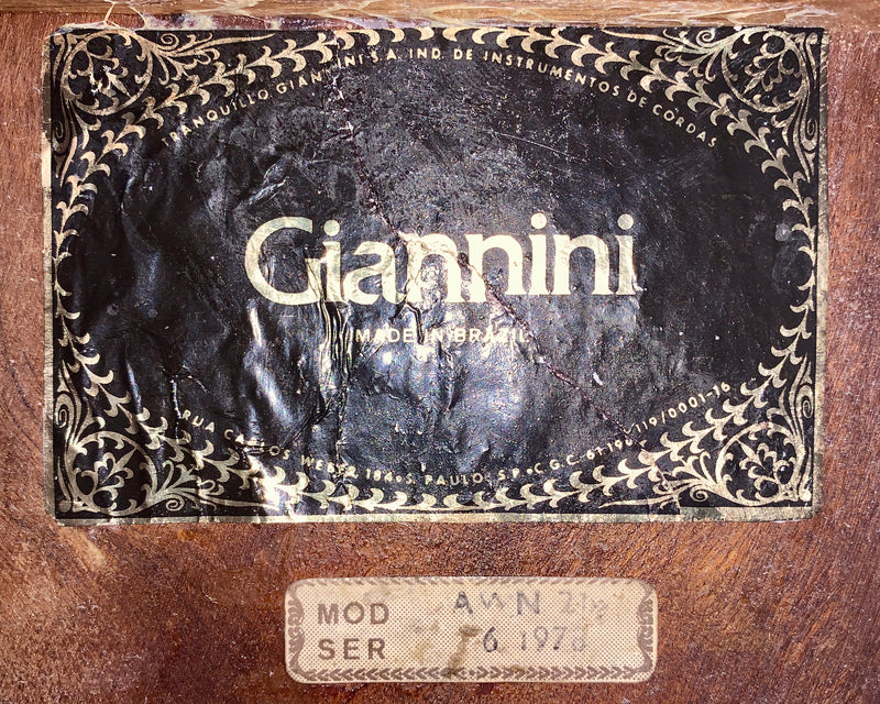 Giannini AWN-21 de 1978