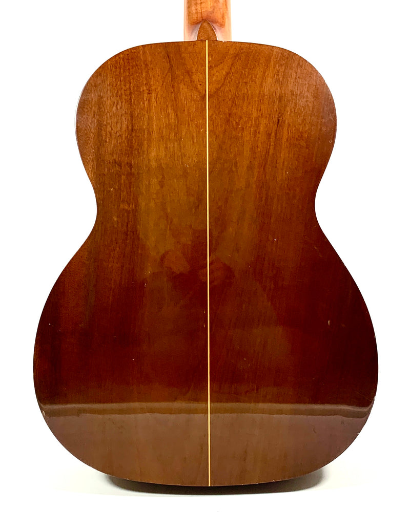 Giannini AWN-25-A from 1973