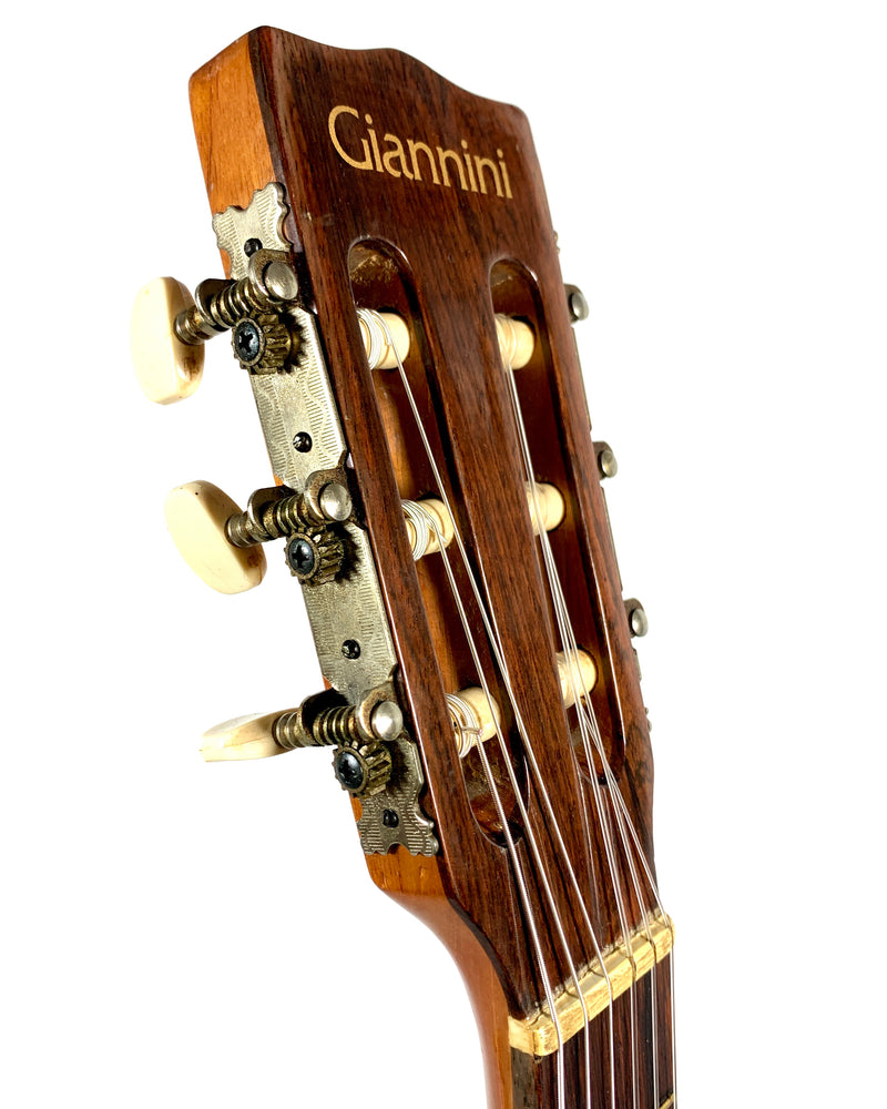 Giannini AWN-25-A from 1973