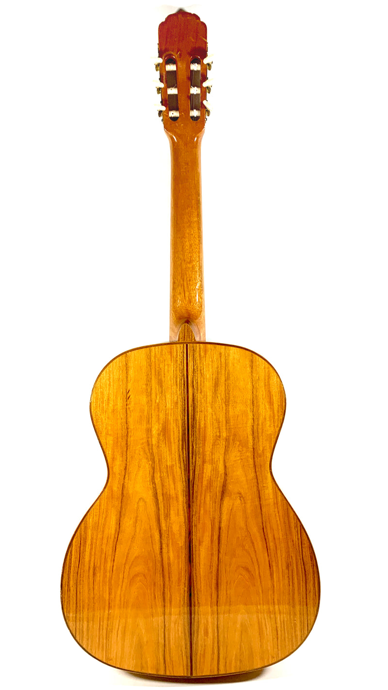 Giannini Classique AWN-86 de 1978