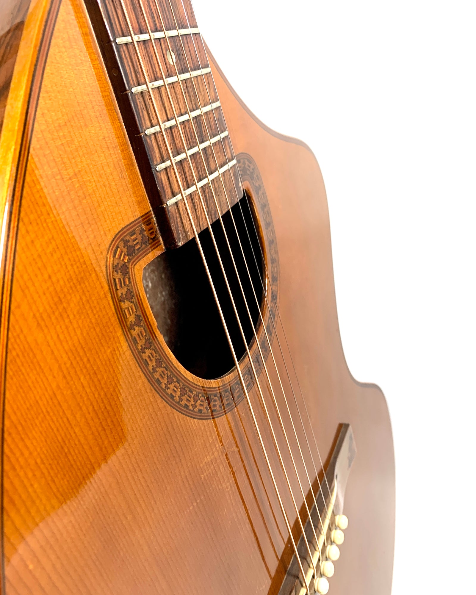 Giannini craviola 12 string guitar outlet