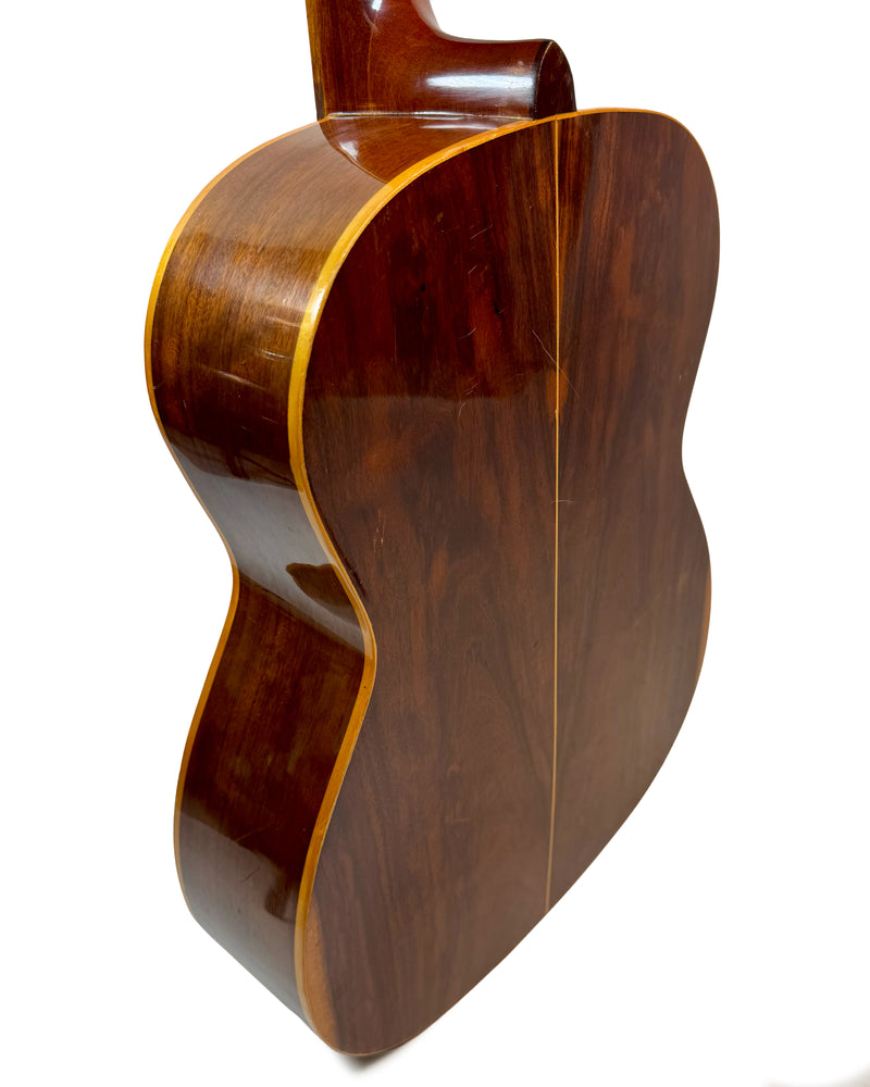 Giannini Guitare Classique (Tête Sculptée) 1970's