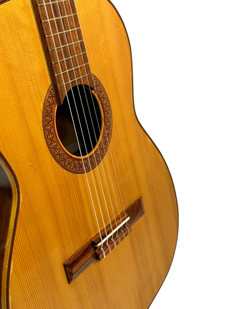 Giannini Guitare Classique (Tête Sculptée) 1970's