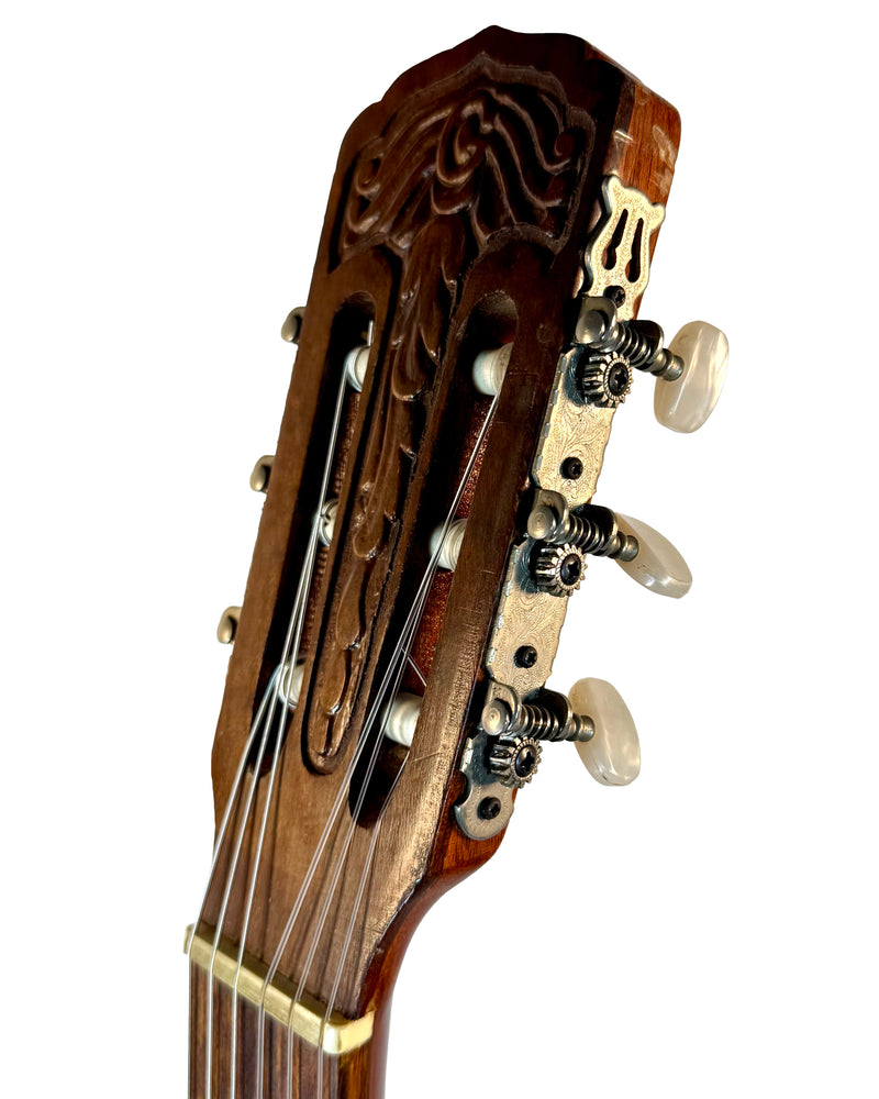 Giannini Guitare Classique (Tête Sculptée) 1970's