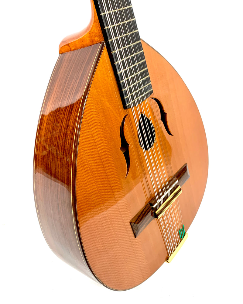 Laudd Instrument Laud Alhambra L4P – L'instrumenterie