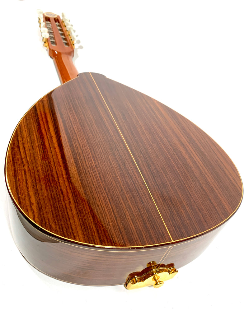 Laudd Instrument Laud Alhambra L4P – L'instrumenterie