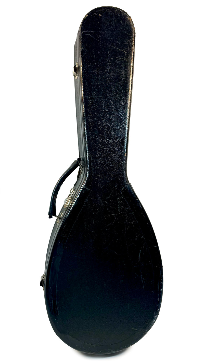 Mandole de Concert Raffaele Calace & Son de 1960