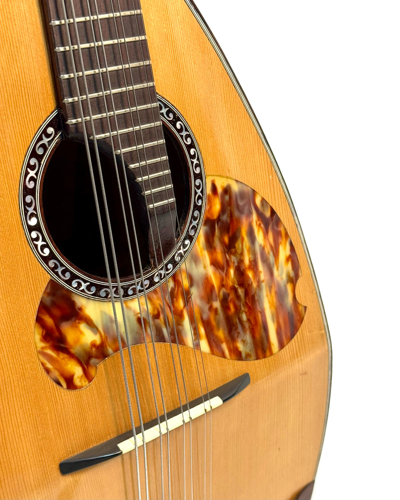 Mandole de Concert Raffaele Calace & Son de 1960