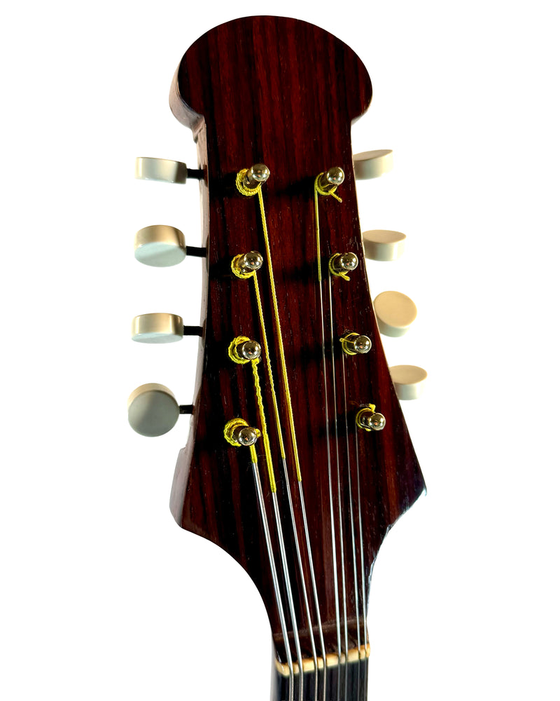 Mandole de Concert Raffaele Calace & Son de 1960