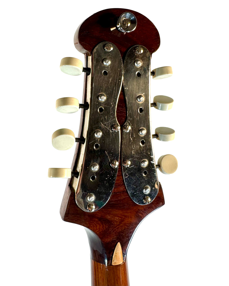 Mandole de Concert Raffaele Calace & Son de 1960