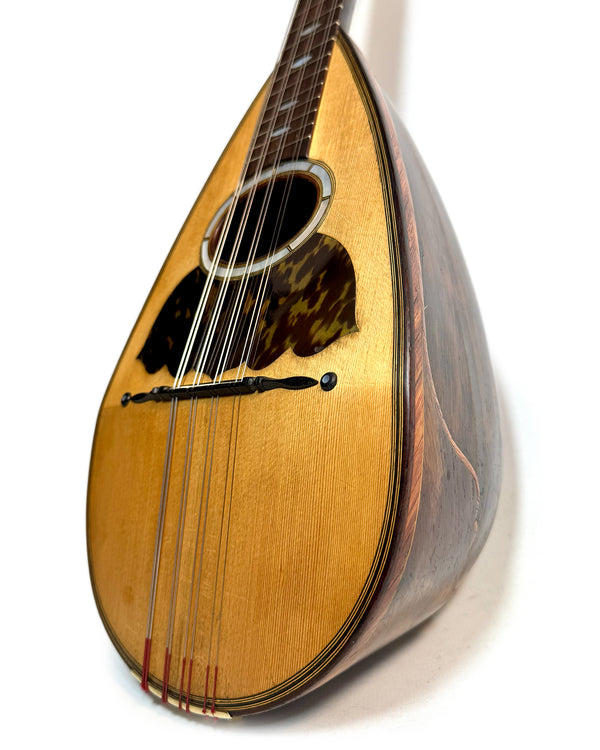 Mandolines / Mandolins – L'instrumenterie