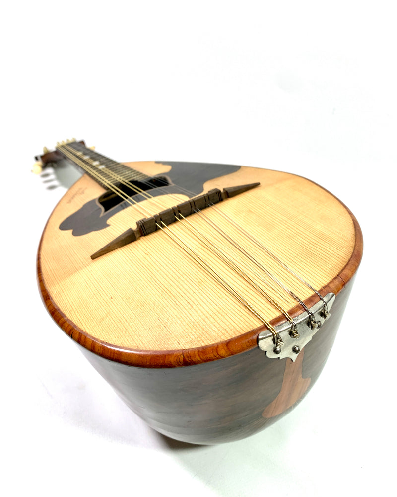 Giovanni Carbone 1900's mandolin