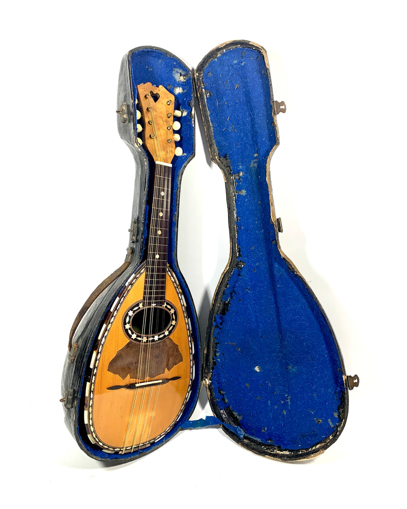 Mandoline Guiseppe Serafino Garnotti & Co 1920's – L'instrumenterie