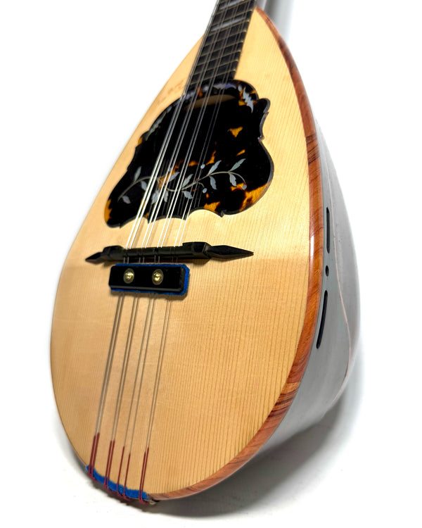 Mandoline Luigi Dorigo de 1898