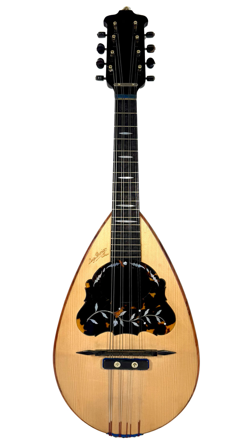 Mandoline Luigi Dorigo de 1898