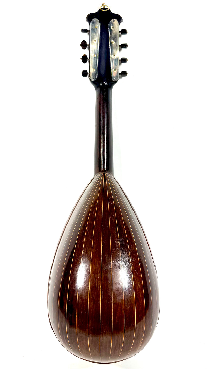 Mandoline Luigi Dorigo de 1898