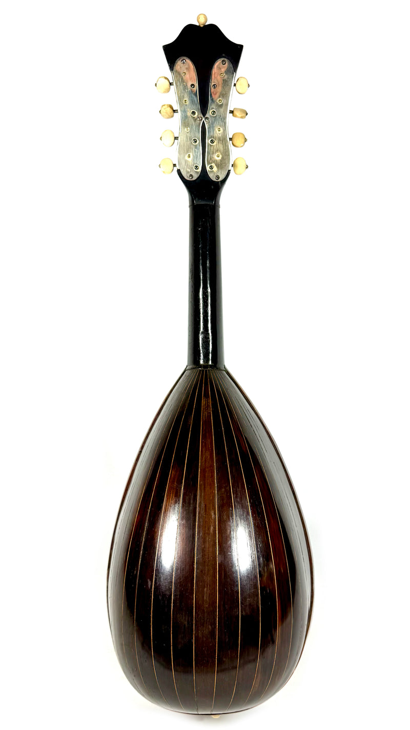 Mandoline Luigi Nicoletti & Figlio de 1899