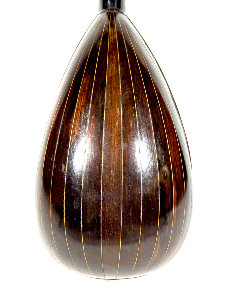 Mandoline Luigi Nicoletti & Figlio de 1899