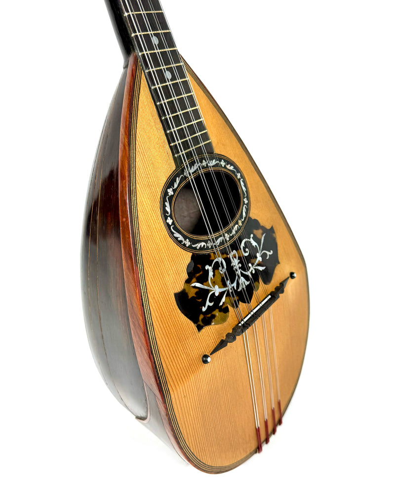 Mandoline Luigi Nicoletti & Figlio de 1899