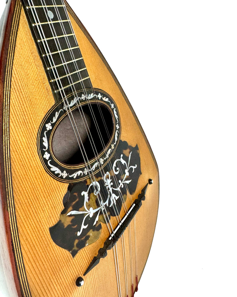 Mandoline Luigi Nicoletti & Figlio de 1899
