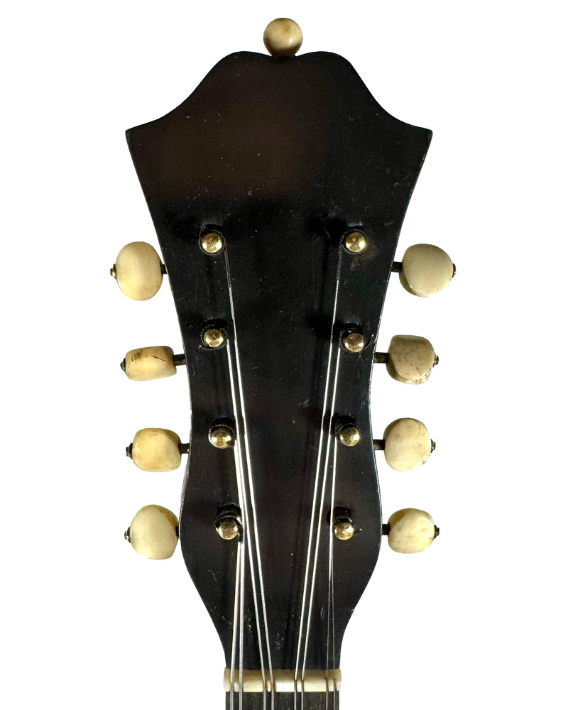 Mandoline Luigi Nicoletti & Figlio de 1899