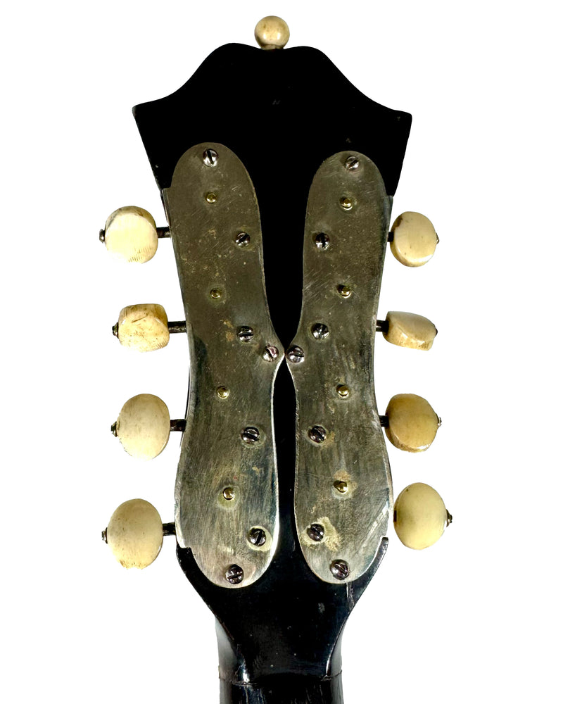 Mandoline Luigi Nicoletti & Figlio de 1899