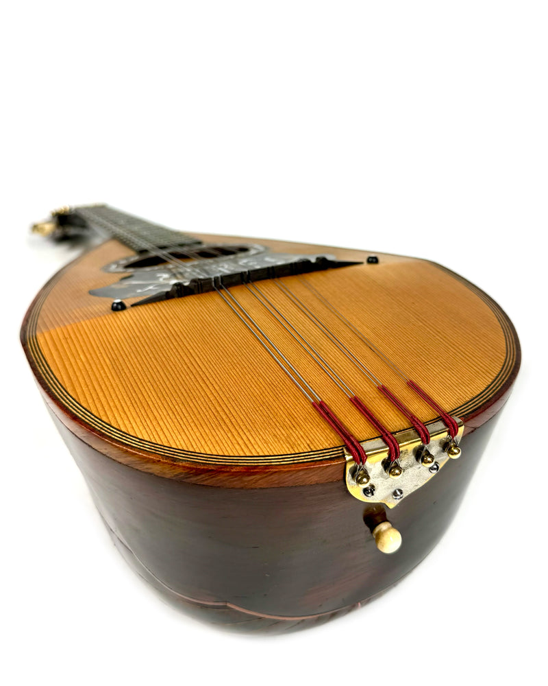 Mandoline Luigi Nicoletti & Figlio de 1899