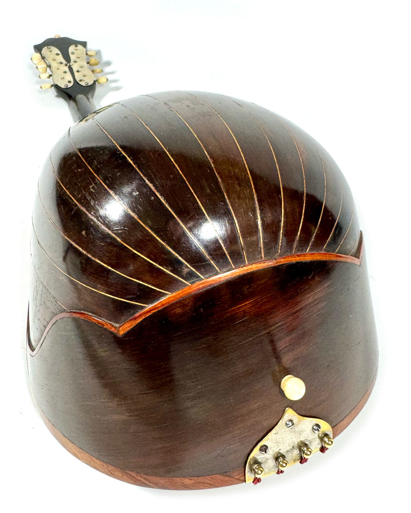 Mandoline Luigi Nicoletti & Figlio de 1899