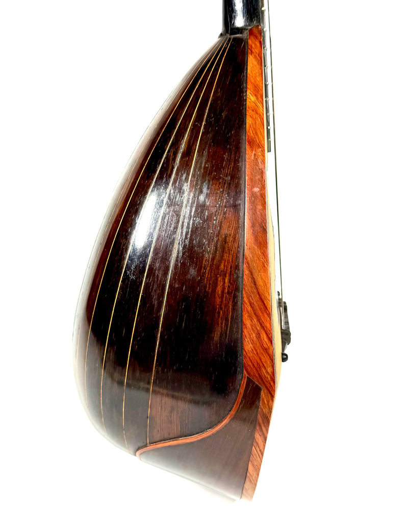 Mandoline Luigi Nicoletti & Figlio de 1899