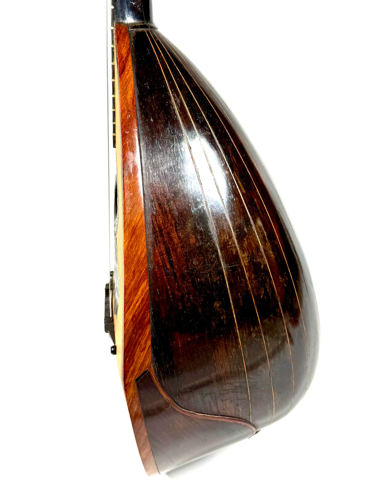 Mandoline Luigi Nicoletti & Figlio de 1899