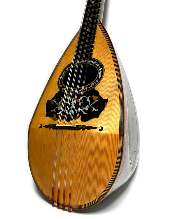 Mandoline Luigi Nicoletti & Figlio de 1899