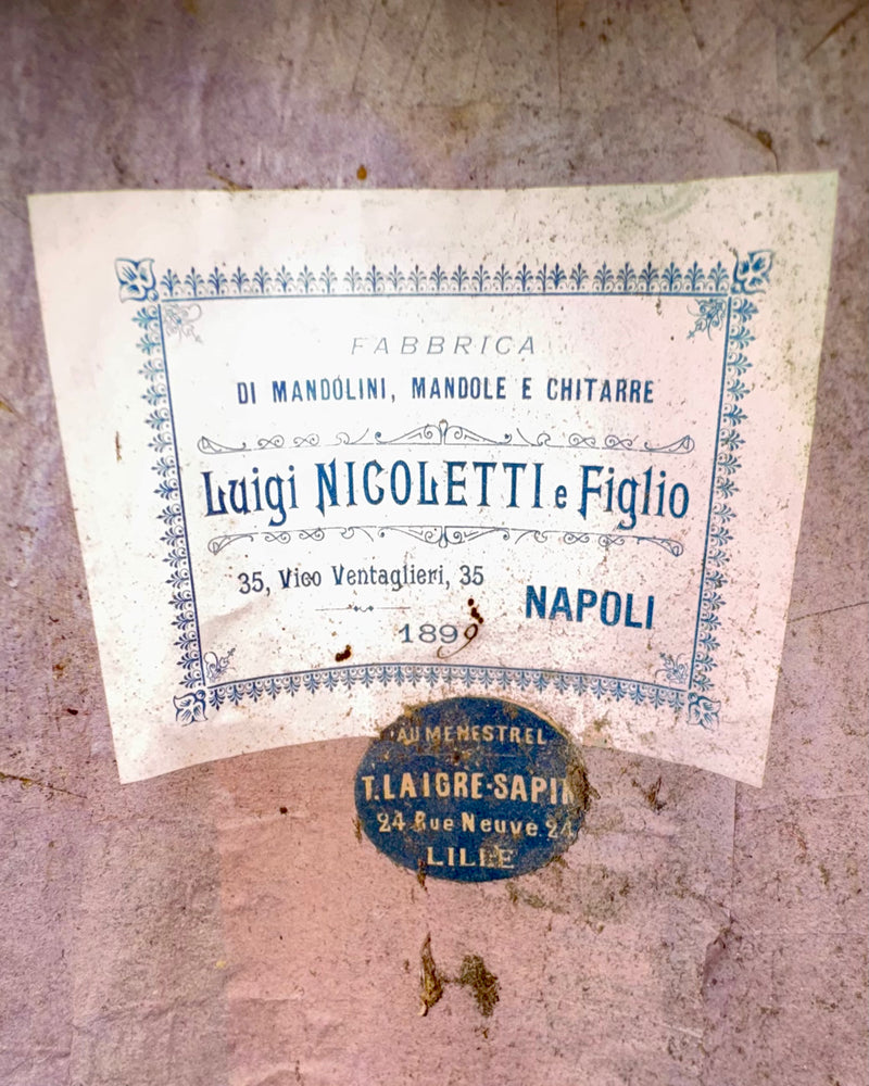 Mandoline Luigi Nicoletti & Figlio de 1899