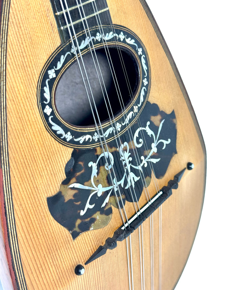 Mandoline Luigi Nicoletti & Figlio de 1899