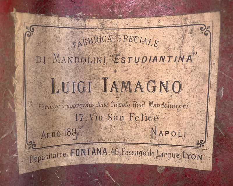 Mandoline Luigi Tamagno de 1897