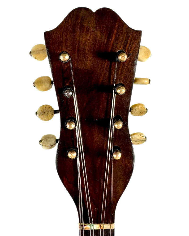Mandoline Luigi Tamagno de 1905