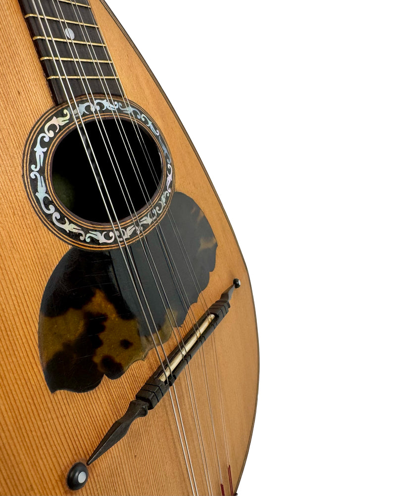 Mandoline Napolitaine Nicola Spoto de 1921