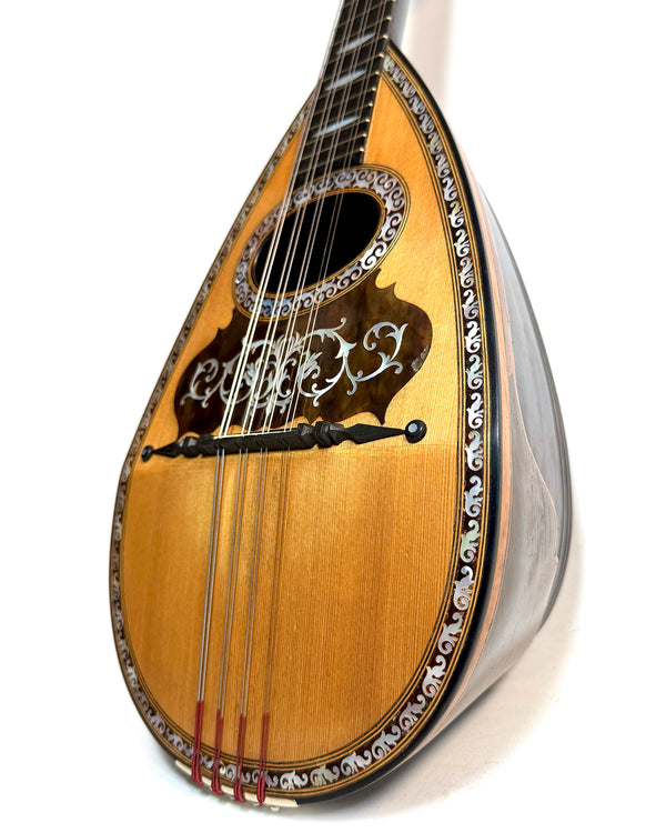 Mandolines / Mandolins – L'instrumenterie