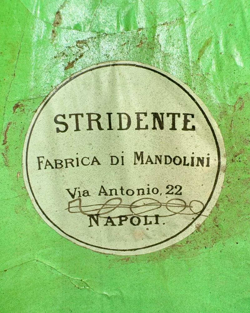 Mandoline Stridente d'Étude 1900's