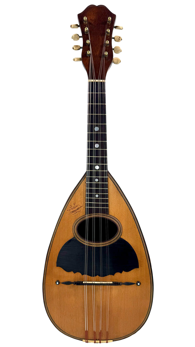 Mandoline Stridente d'Étude (Palissandre) 1900's