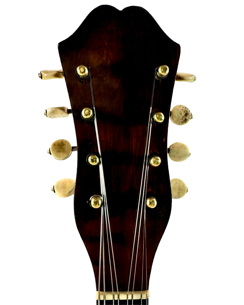 Mandoline Stridente d'Étude (Palissandre) 1900's