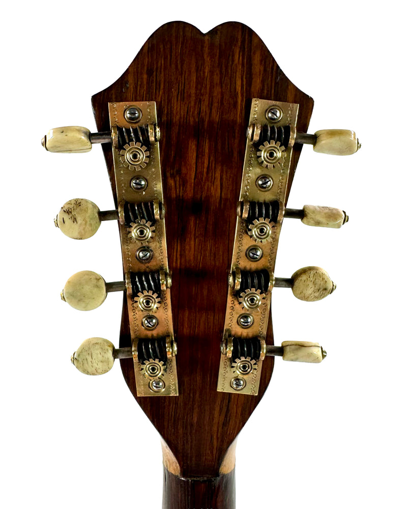 Mandoline Stridente d'Étude (Palissandre) 1900's