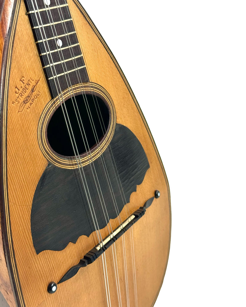 Mandoline Stridente d'Étude (Palissandre) 1900's