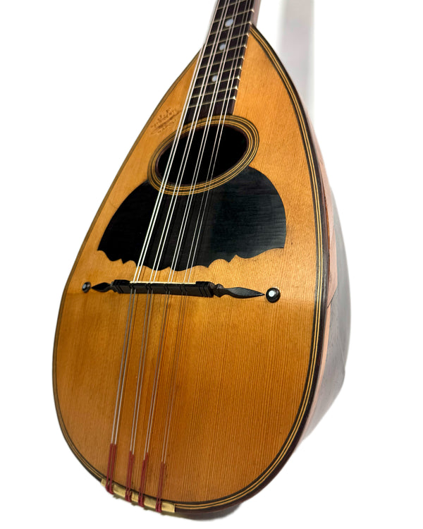 Mandoline Stridente d'Étude (Palissandre) 1900's