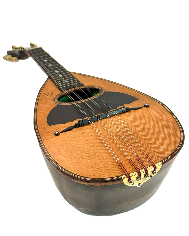 Mandoline Stridente d'Étude (Palissandre) 1900's